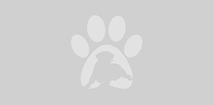 Gracie Lou Freebush Gracie Lou Freebush